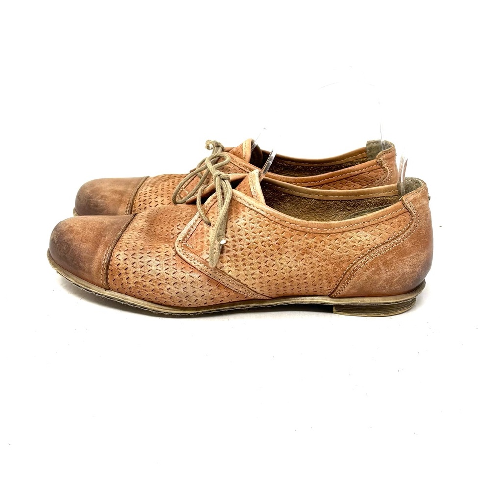Taos Oxfords